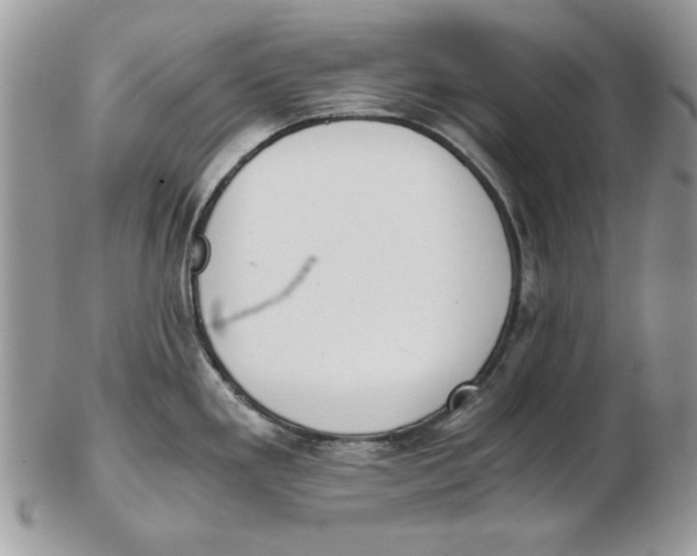 X0000102391293200808221816