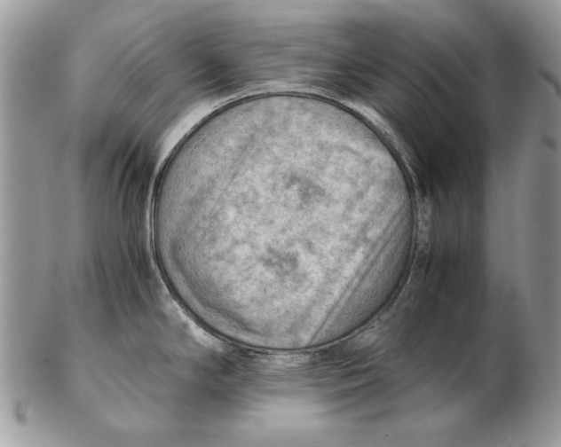 X0000102391294200808221816