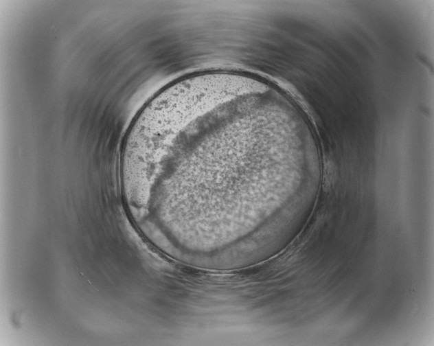 X0000102391295200808221816