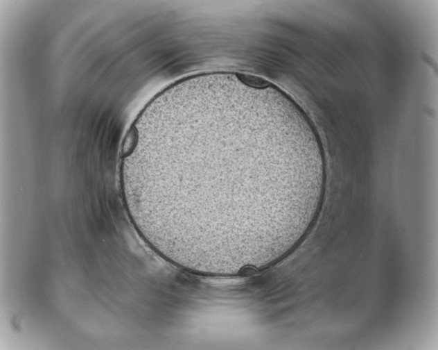 X0000102391296200808221816