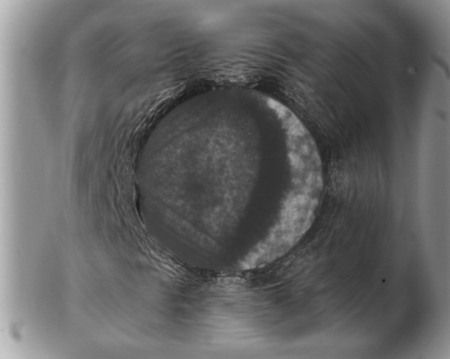 X0000102391297200808221815