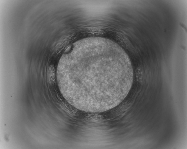 X0000102391298200808221816