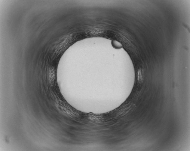 X0000102391299200808221816