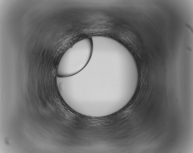 X0000102391300200808221816