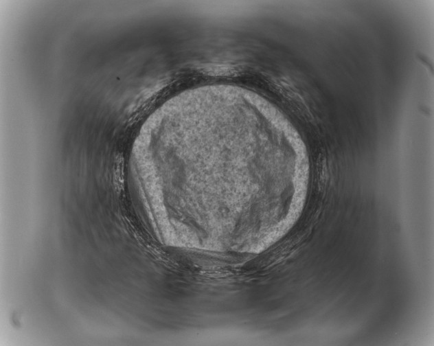 X0000102391301200808221816