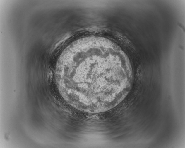 X0000102391302200808221816