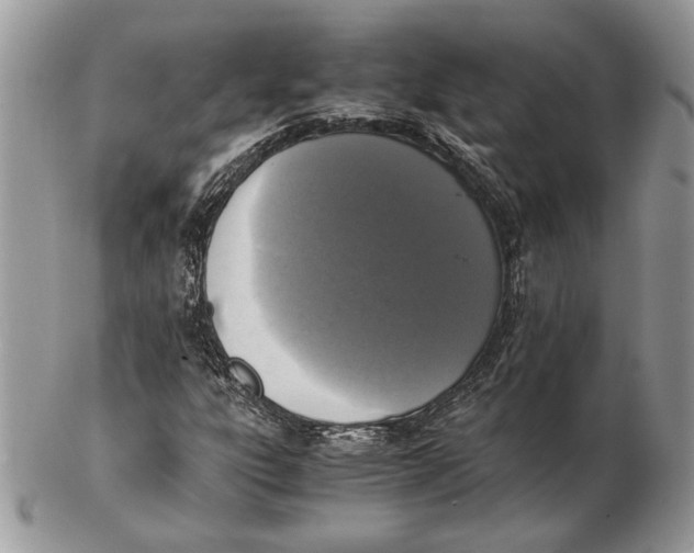 X0000102391303200808221816