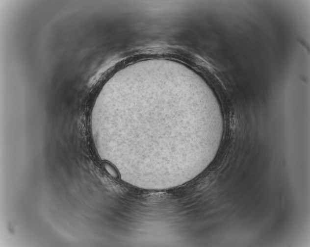 X0000102391304200808221816