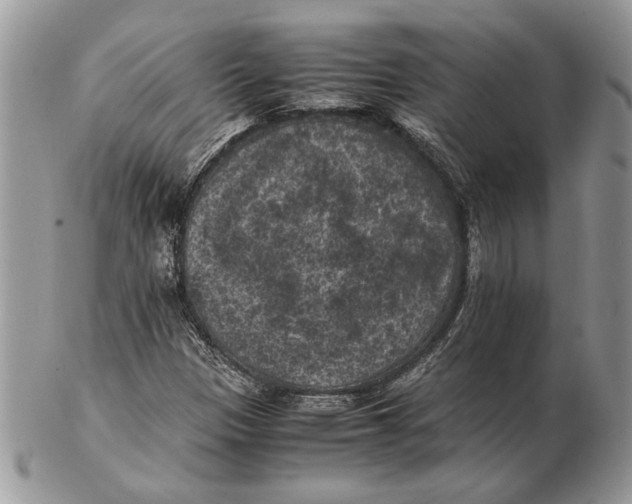 X0000102391305200808221816