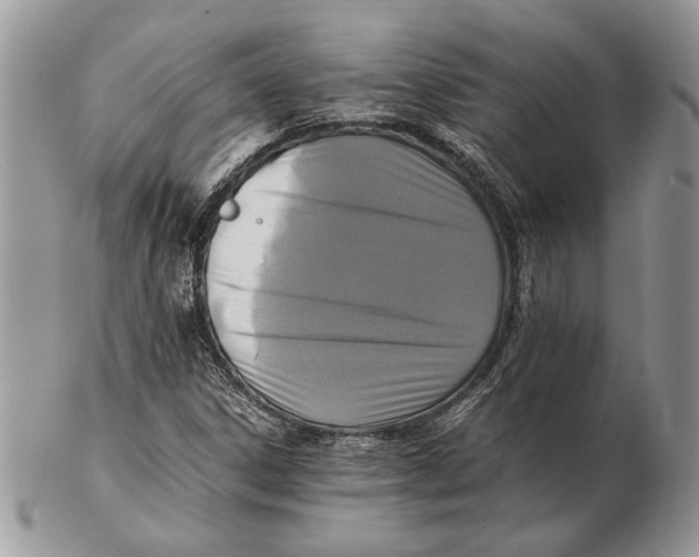 X0000102391306200808221816