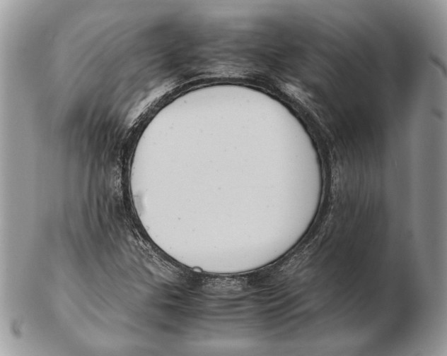 X0000102391307200808221816