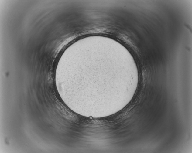 X0000102391308200808221816