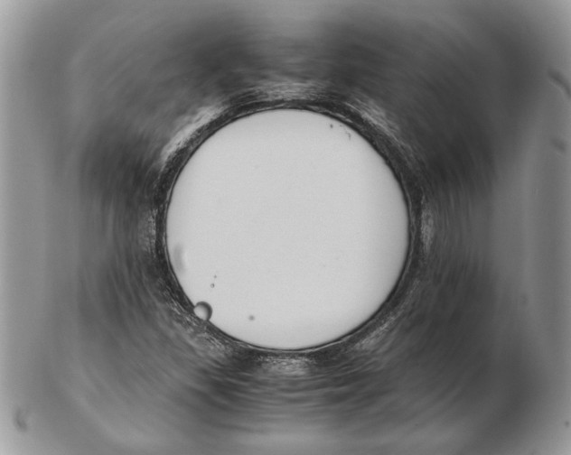 X0000102391309200808221816