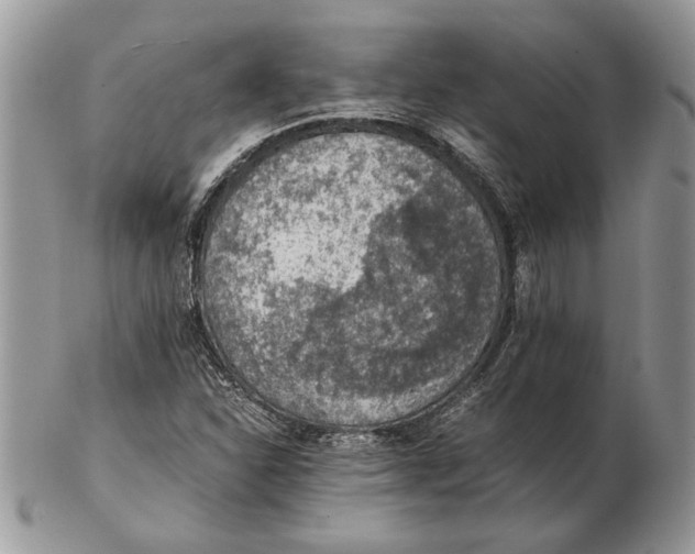 X0000102391310200808221816