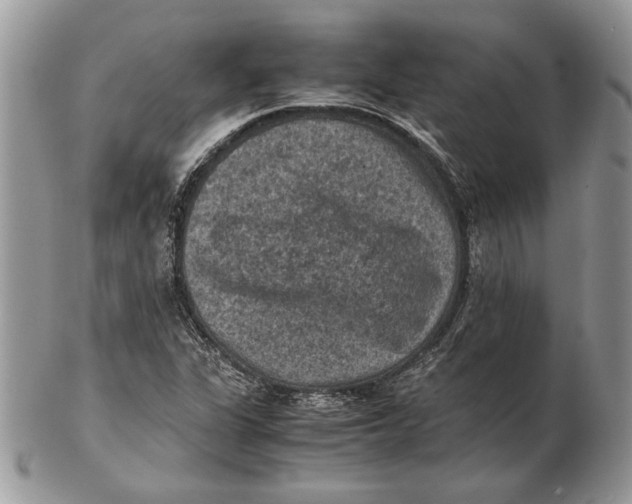 X0000102391311200808221816