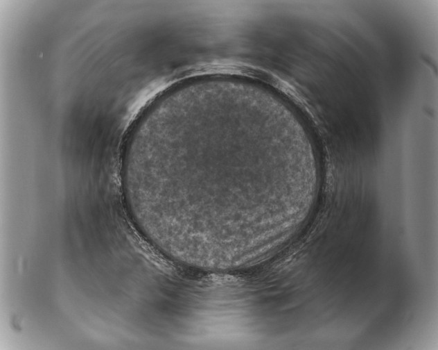 X0000102391312200808221816