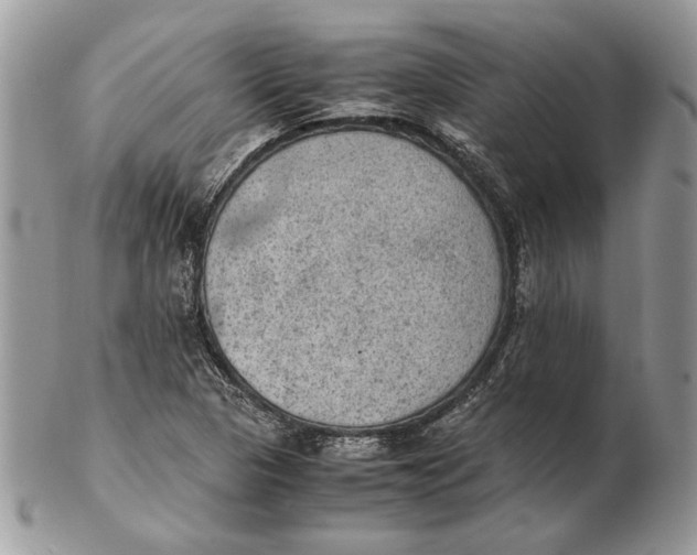 X0000102391313200808221816