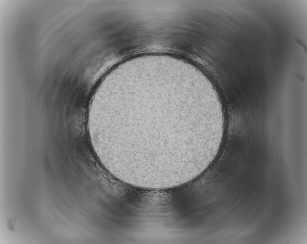 X0000102391314200808221816