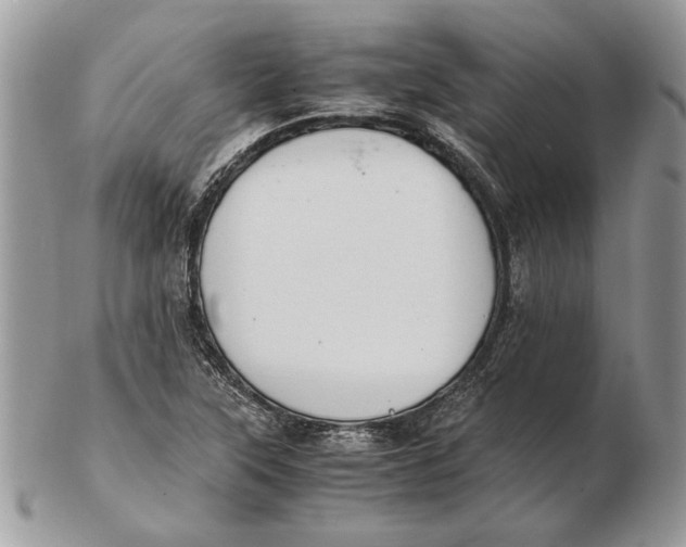 X0000102391315200808221816