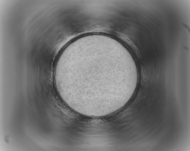 X0000102391316200808221816