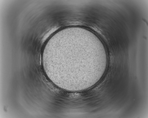 X0000102391317200808221816