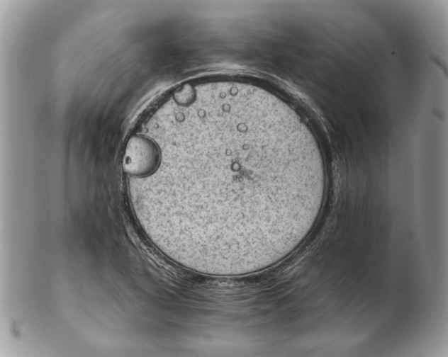 X0000102391318200808221816