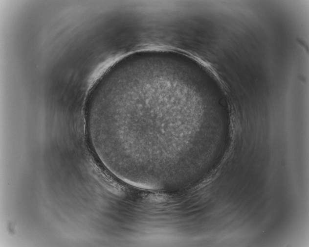 X0000102391319200808221816