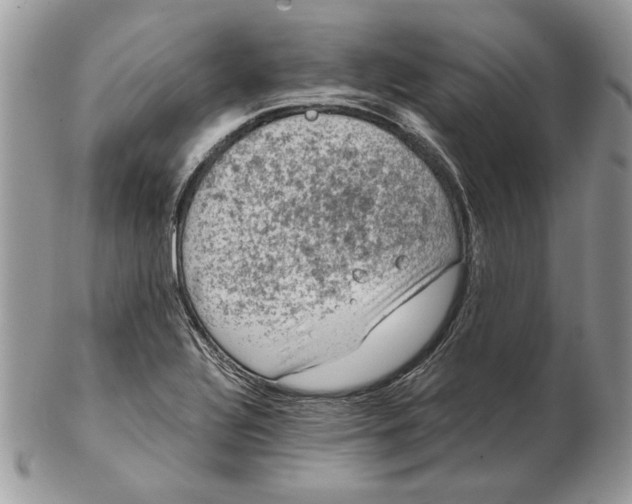 X0000102391320200808221816