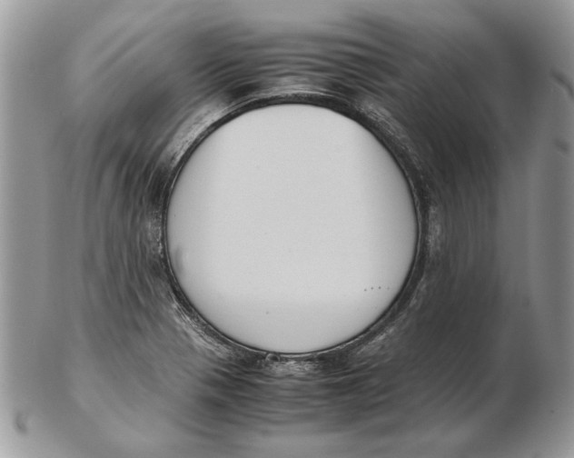 X0000102391321200808221816