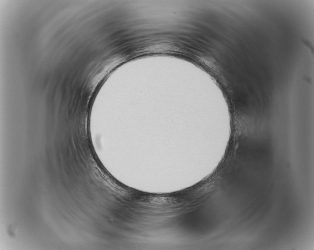 X0000102391322200808221816