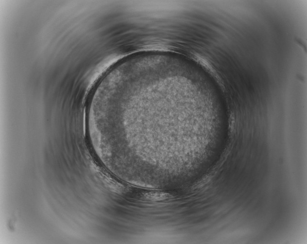 X0000102391323200808221816