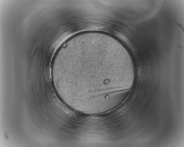 X0000102391324200808221816