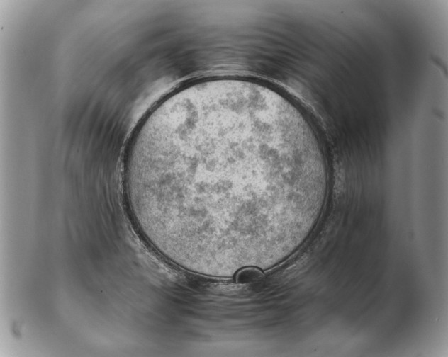 X0000102391325200808221816