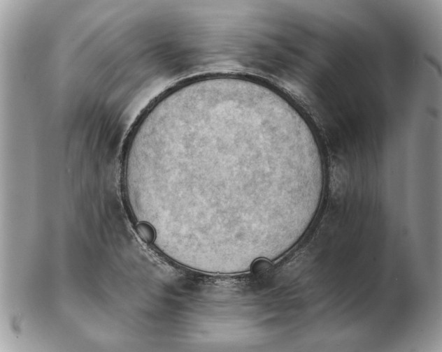 X0000102391326200808221816