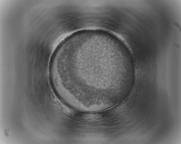 X0000102391327200808221816