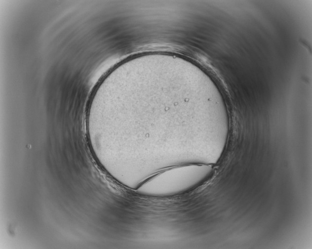 X0000102391328200808221816