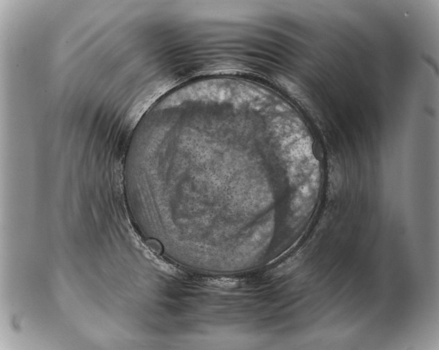 X0000102391329200808221816