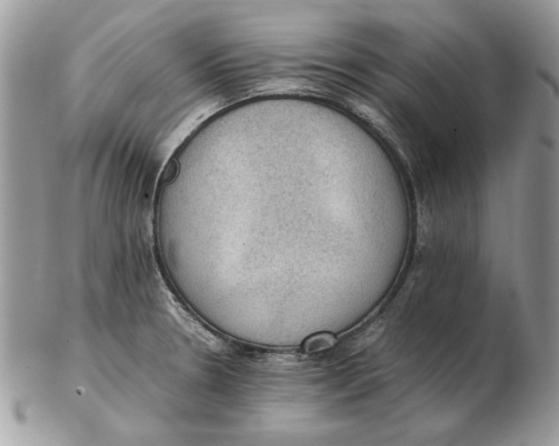 X0000102391330200808221816