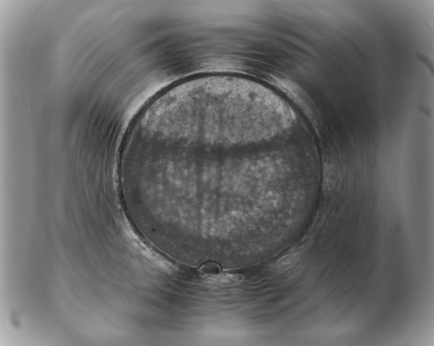 X0000102391331200808221816