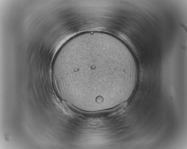 X0000102391332200808221816