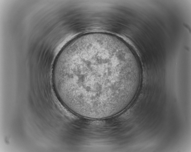 X0000102391333200808221816