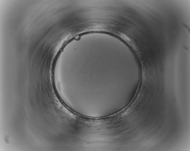 X0000102391334200808221816