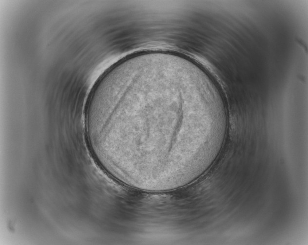 X0000102391335200808221816