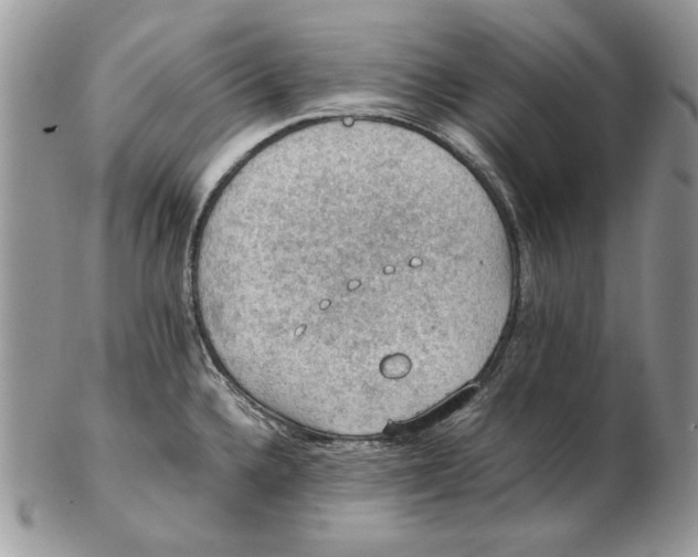 X0000102391336200808221816