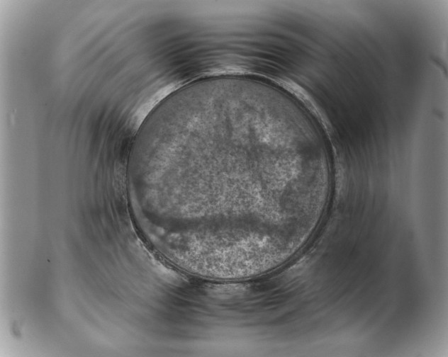 X0000102391337200808221816