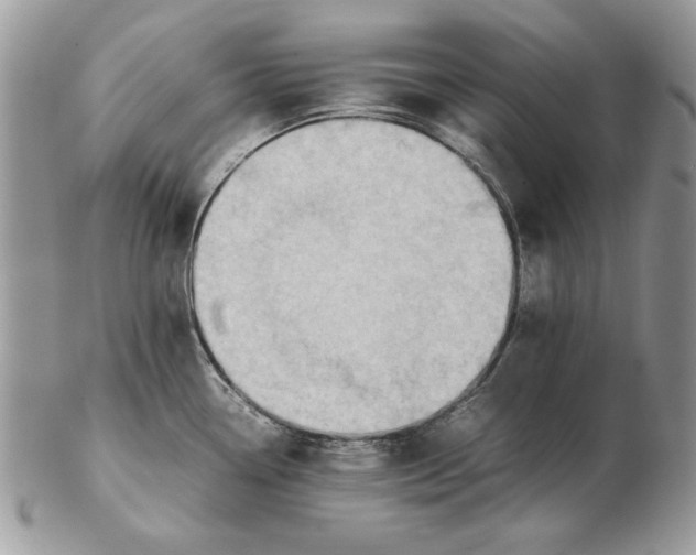 X0000102391338200808221816