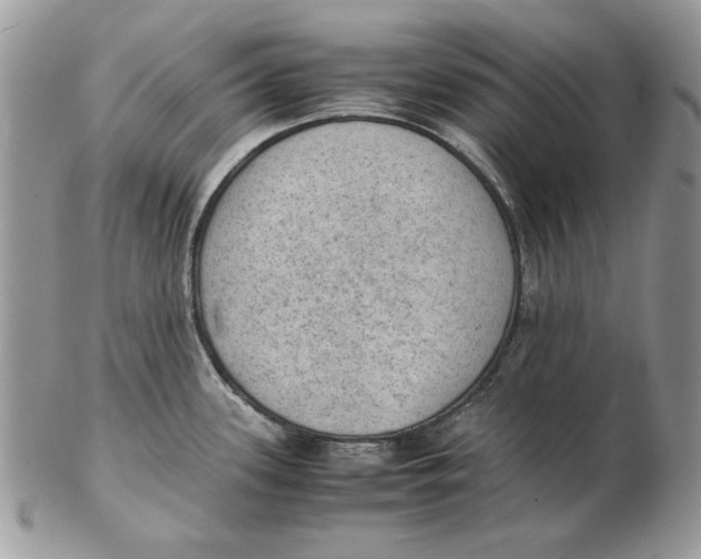 X0000102391339200808221816