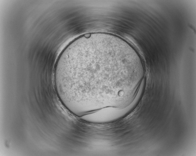 X0000102391340200808221816