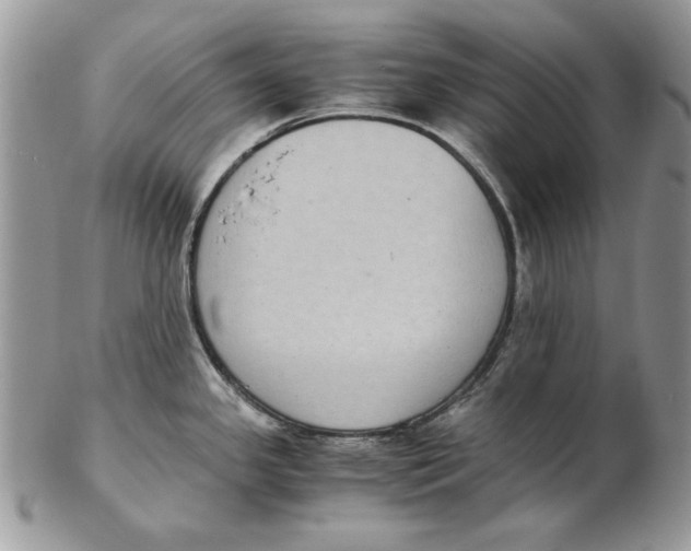 X0000102391341200808221816