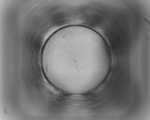 X0000102391342200808221816